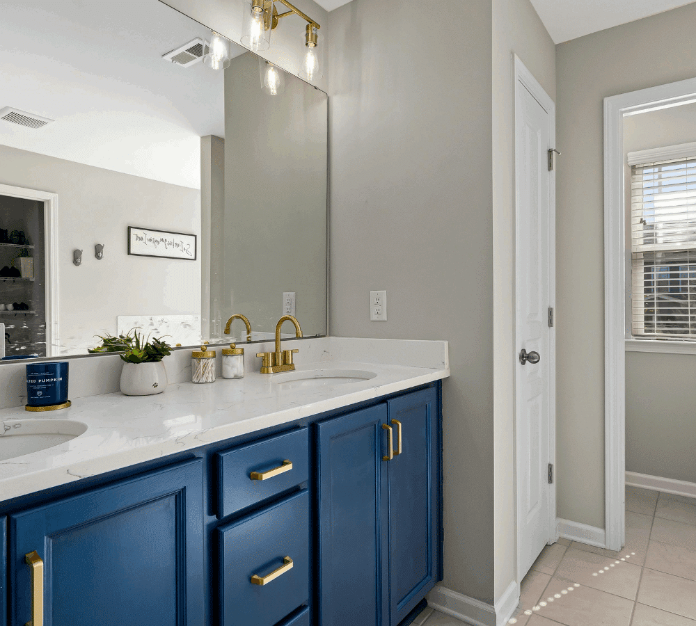 Bathroom Remodel Geo+2